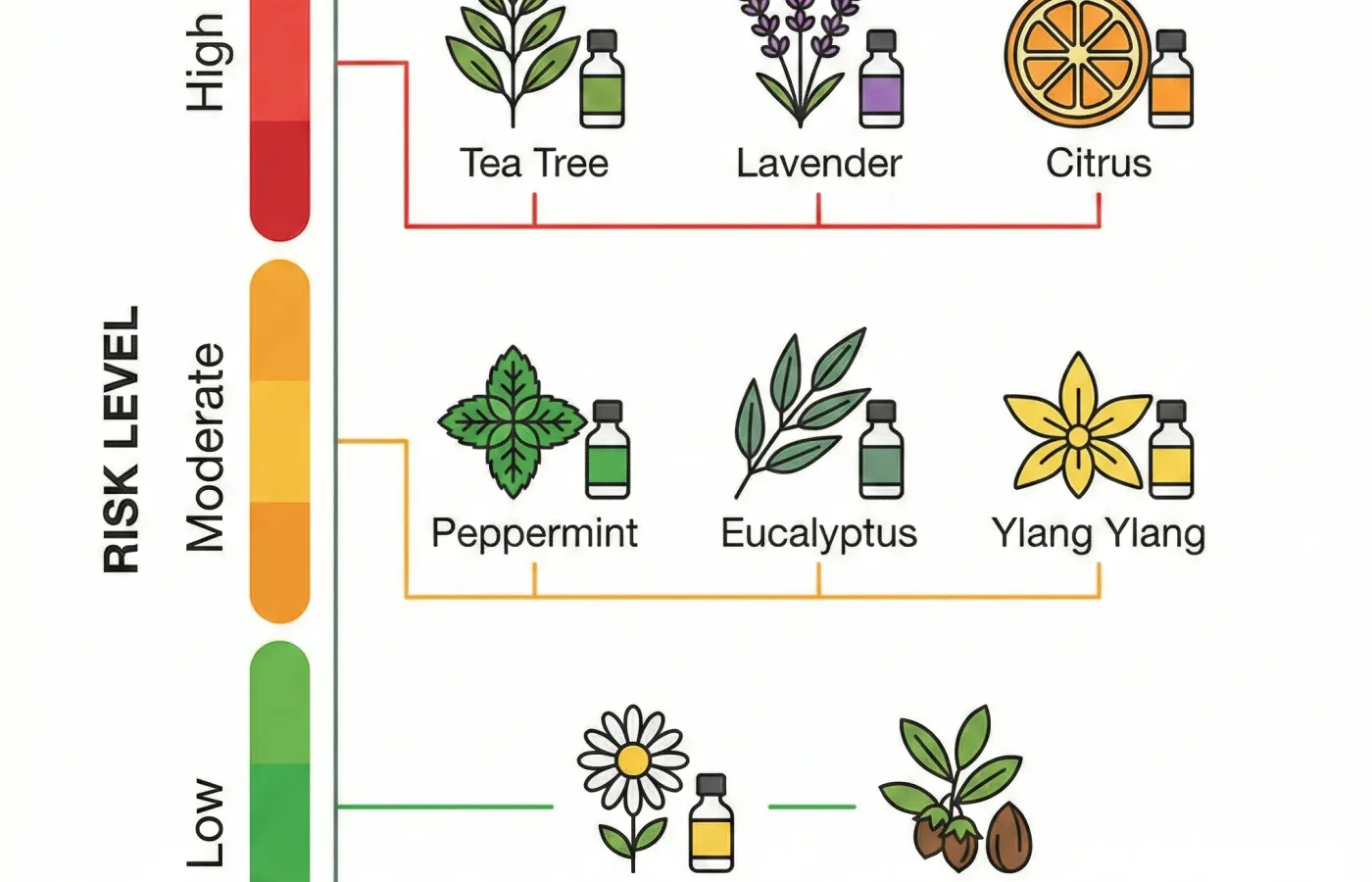 Infographic: Essential Oils in Skincare: Hidden Risks