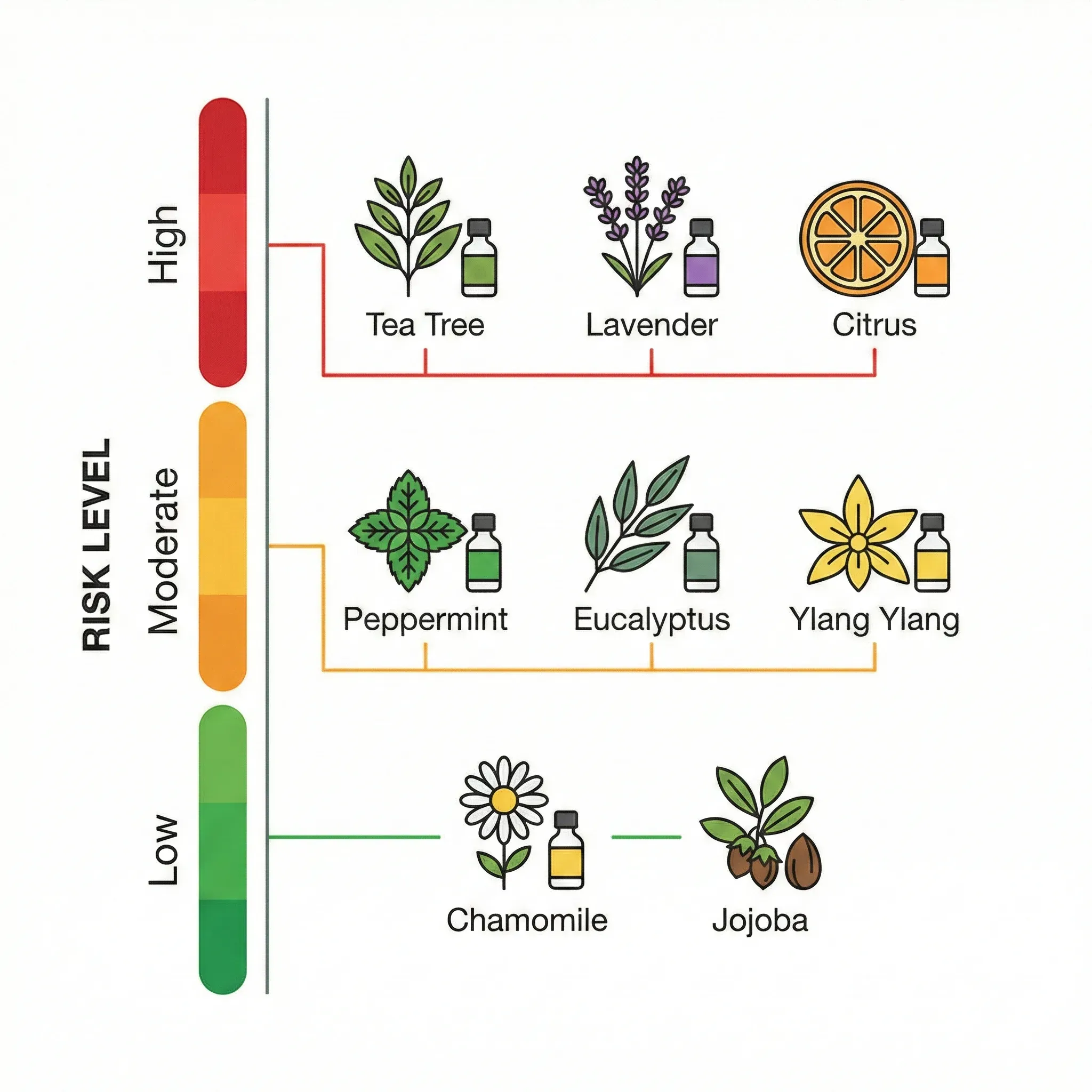 Infographic: Essential Oils in Skincare: Hidden Risks
