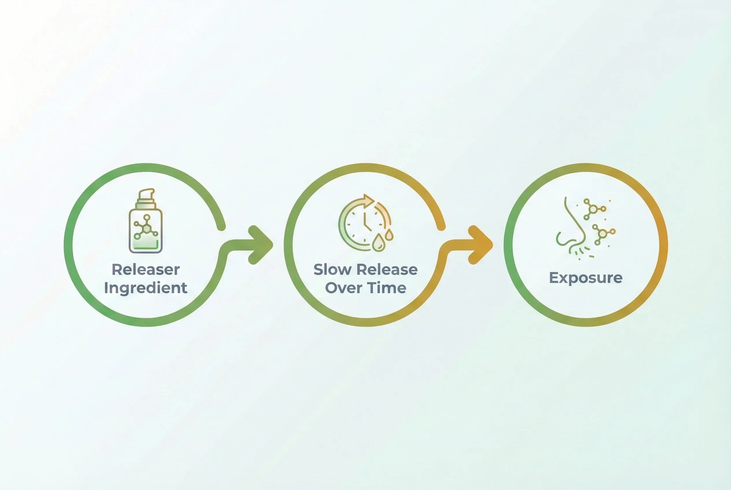 Infographic: Hidden Formaldehyde in Your Cosmetics