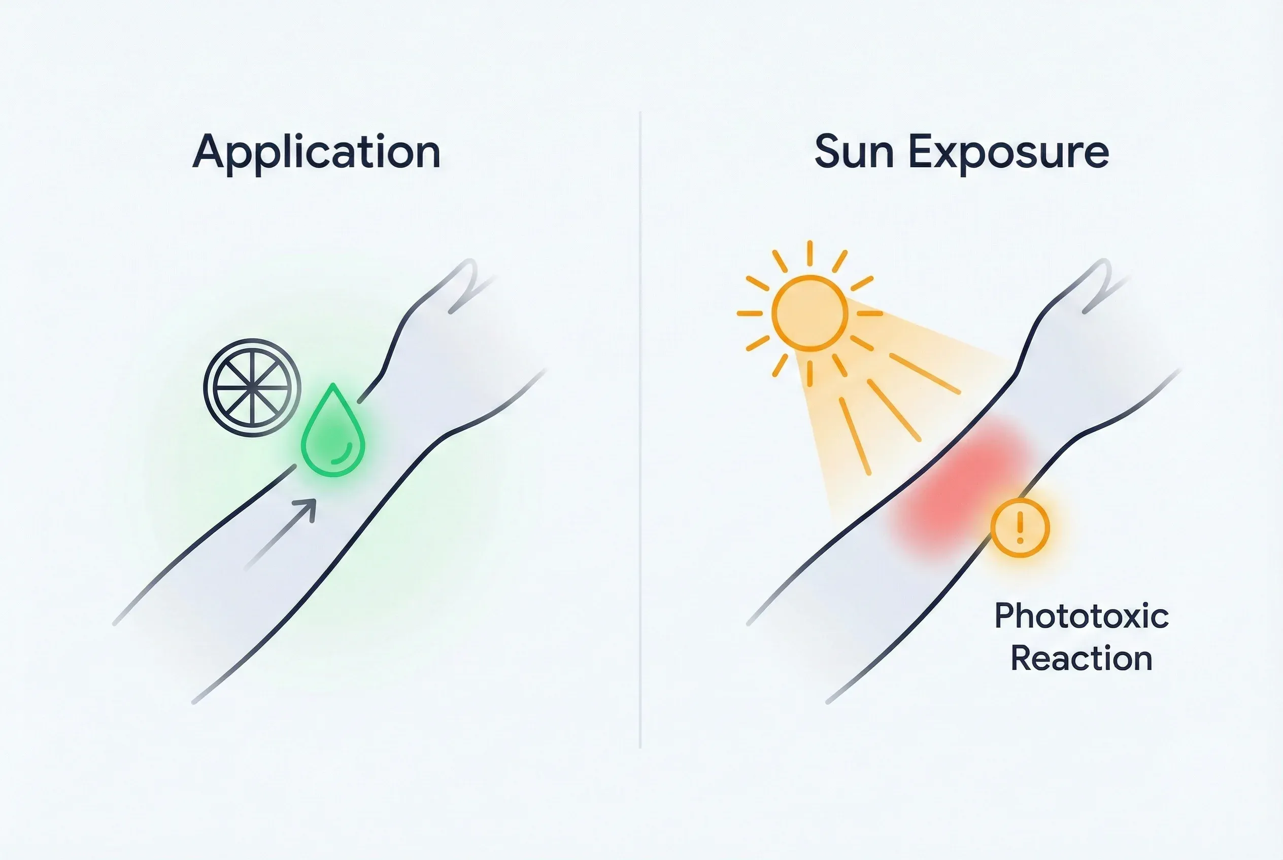 Comparison: The Natural Ingredients Myth: Why “Natural” Doesn’t Mean Safe
